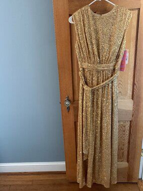 LDT Ivy Goddess Gold Sequin Maxi Dress Size 2